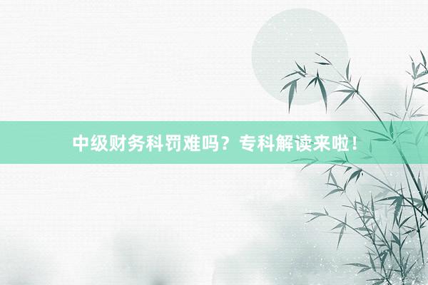 中级财务科罚难吗？专科解读来啦！